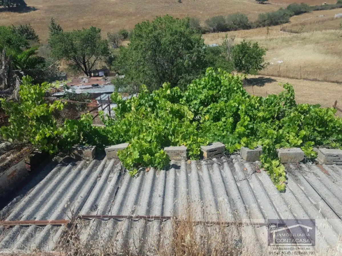 Jardín de Finca rústica en venta en Los Rábanos  