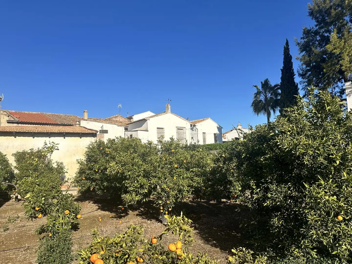 House with terrace for sale in Algímia de Alfara, imagen 52