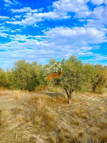 Terreno residencial en Venta en Vélez-Rubio