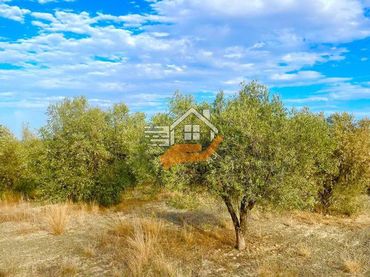 Terreno residenziale in vendita a Vélez-Rubio