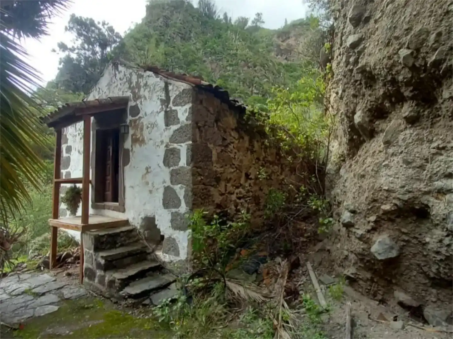 Vista exterior de Finca rústica en venda en Firgas