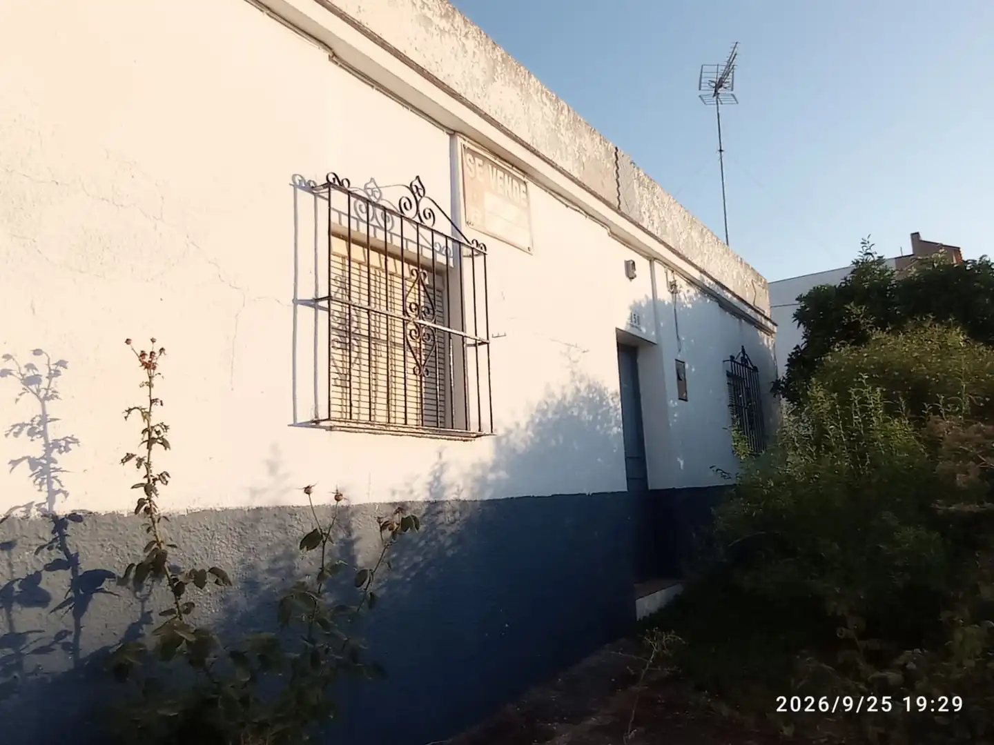 Terreno rústico en venta en El Rocío - La Milagrosa