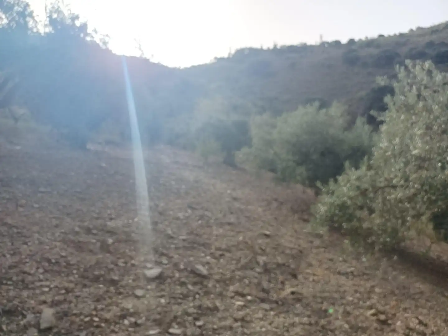 Terreni e lotti in vendita a Centro, imagen 16