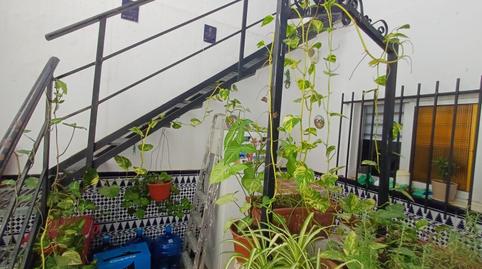 Photo 3 of House or chalet for sale in El Rocío - La Milagrosa, Jerez de la Frontera