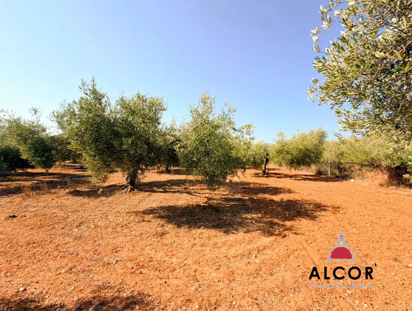 Finca rústica en venta en Peñíscola / Peníscola