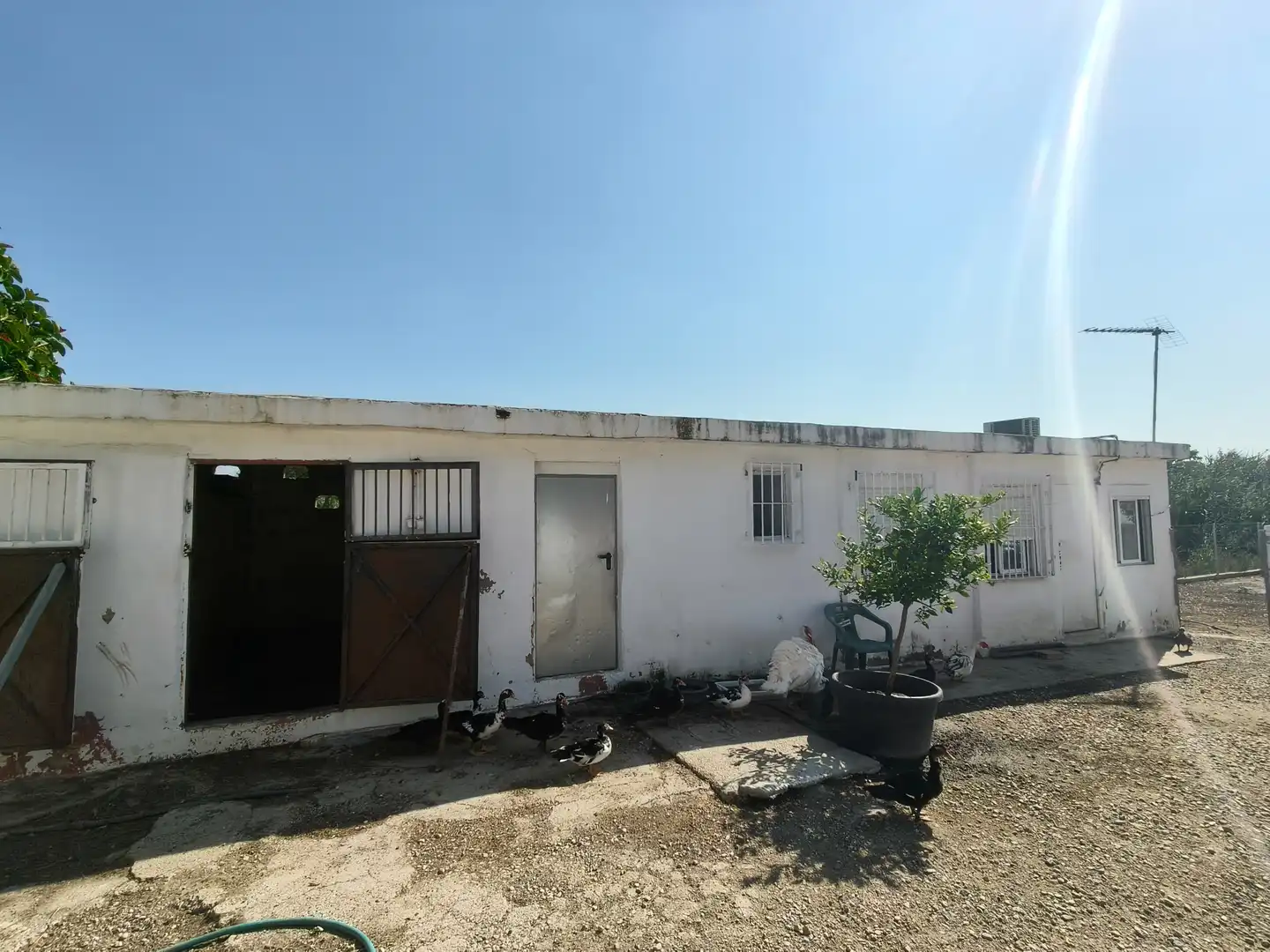 Vista exterior de Casa o chalet en venta en Montroi / Montroy con Jardín privado, Terraza y Trastero