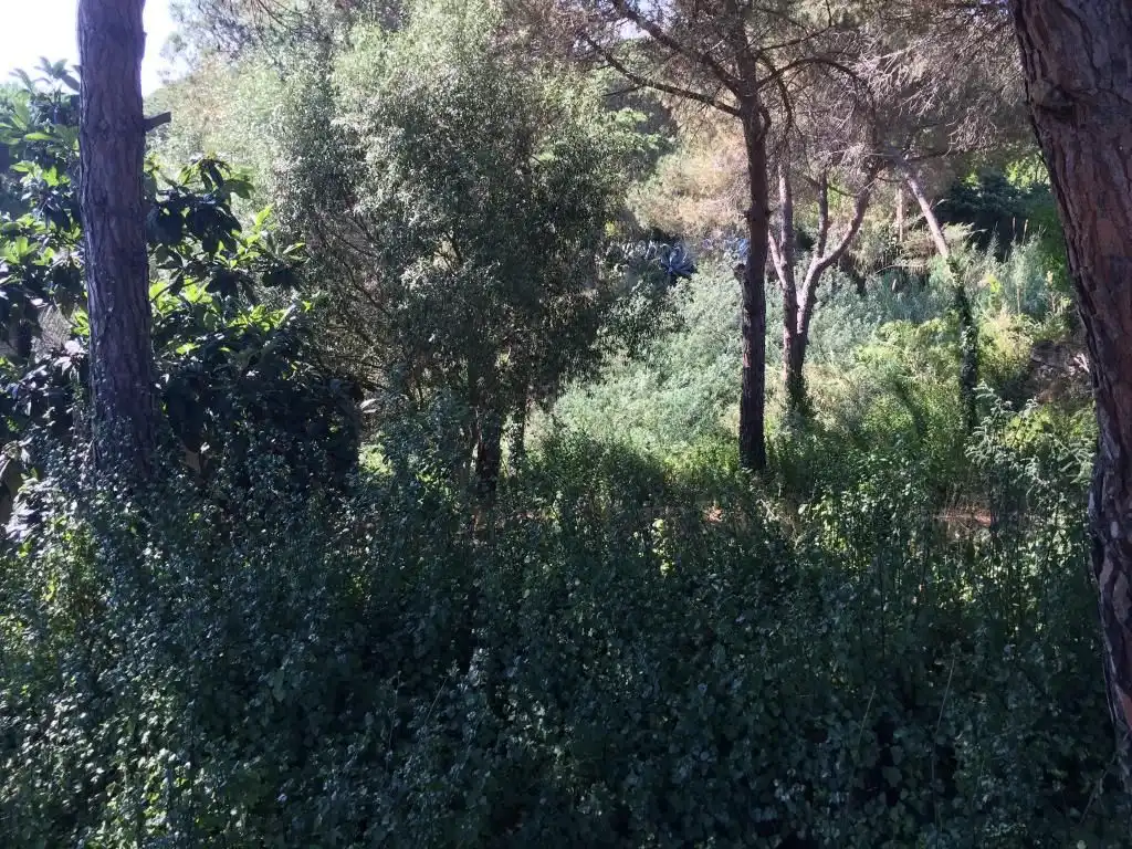 Wohnbaugrundstück zum Verkauf in Calle Benidorm, imagen 3