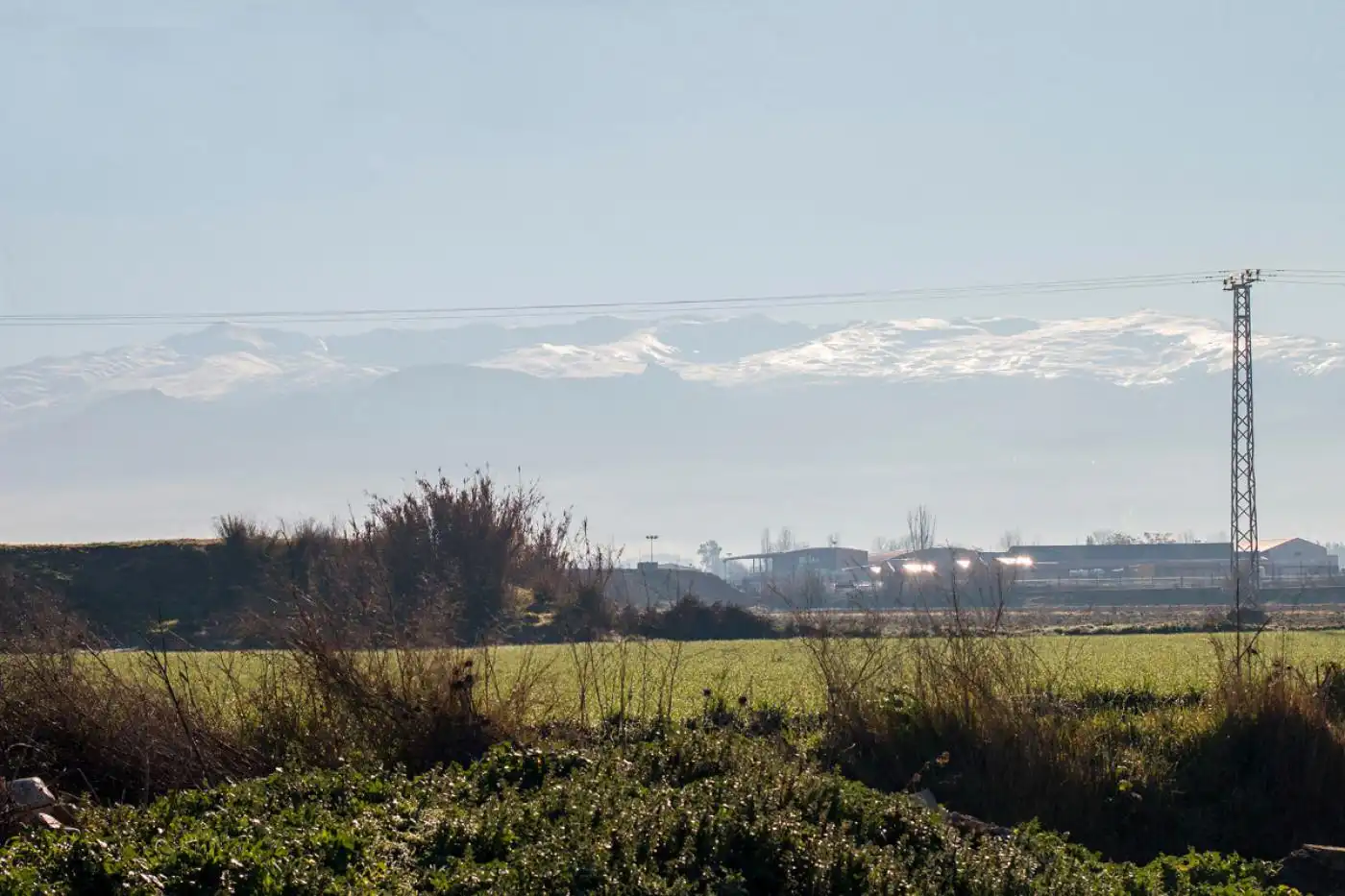 Exterior view of Land for sale in Granada