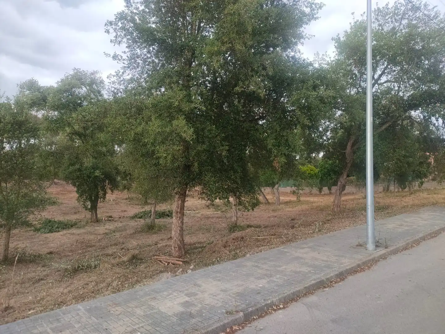 Residential land for sale in Avinguda Catalunya, imagen 2