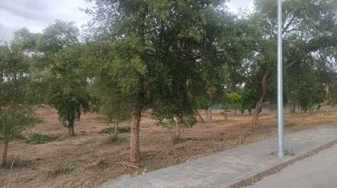 PARCELA DE 1006M2 EN URB.KING PARK DE SILS, immagine 2