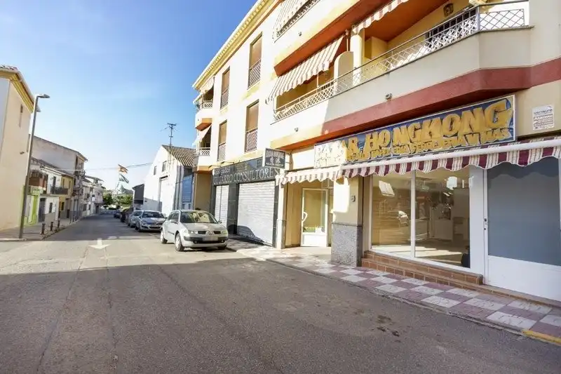 Business premises for sale in Villa de Otura, imagen 27