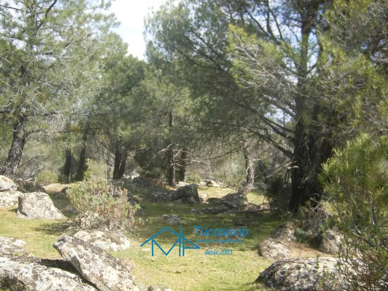 Terreni e lotti in vendita a Cebreros, imagen 18