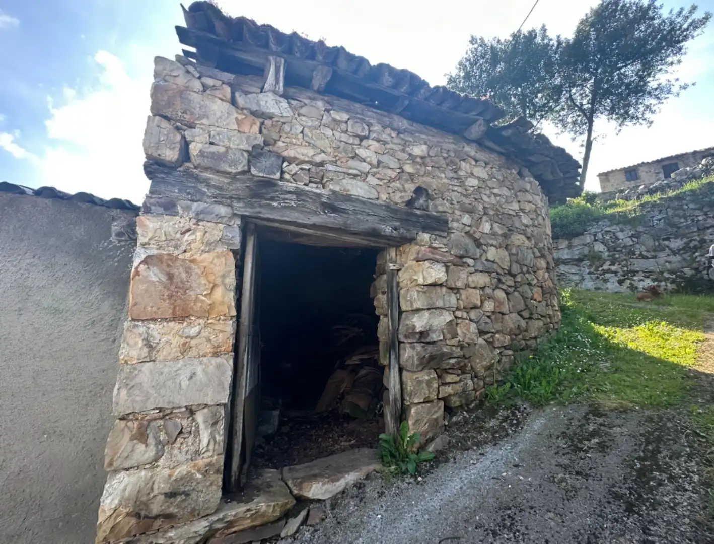 Vista exterior de Casa o xalet en venda en Salas amb Jardí privat