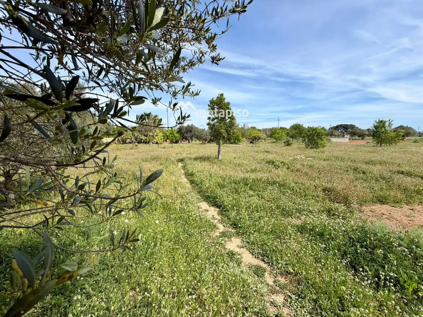 Terreno rustico in vendita a Santa Oliva, imagen 76