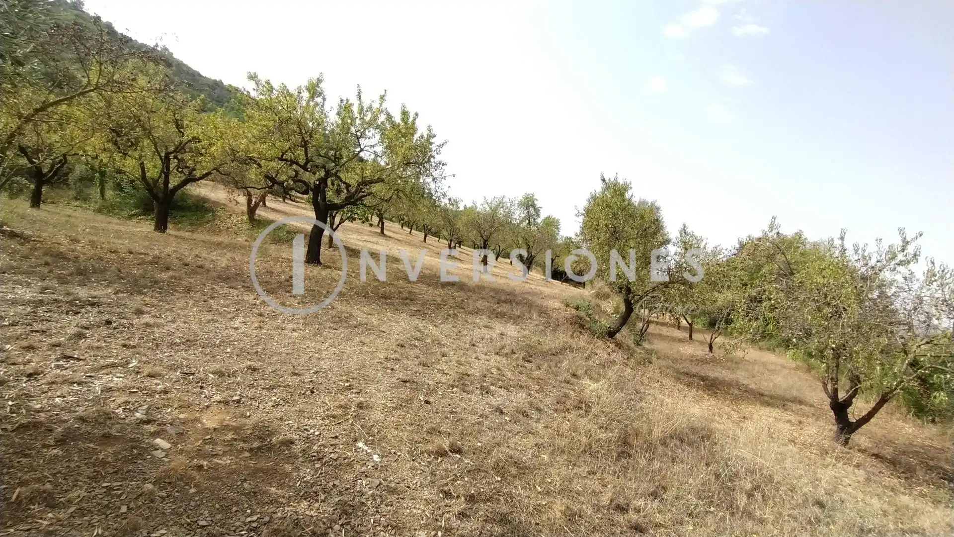 Country homes for sale in Vimbodí i Poblet  with Heating, Private garden and Terrace