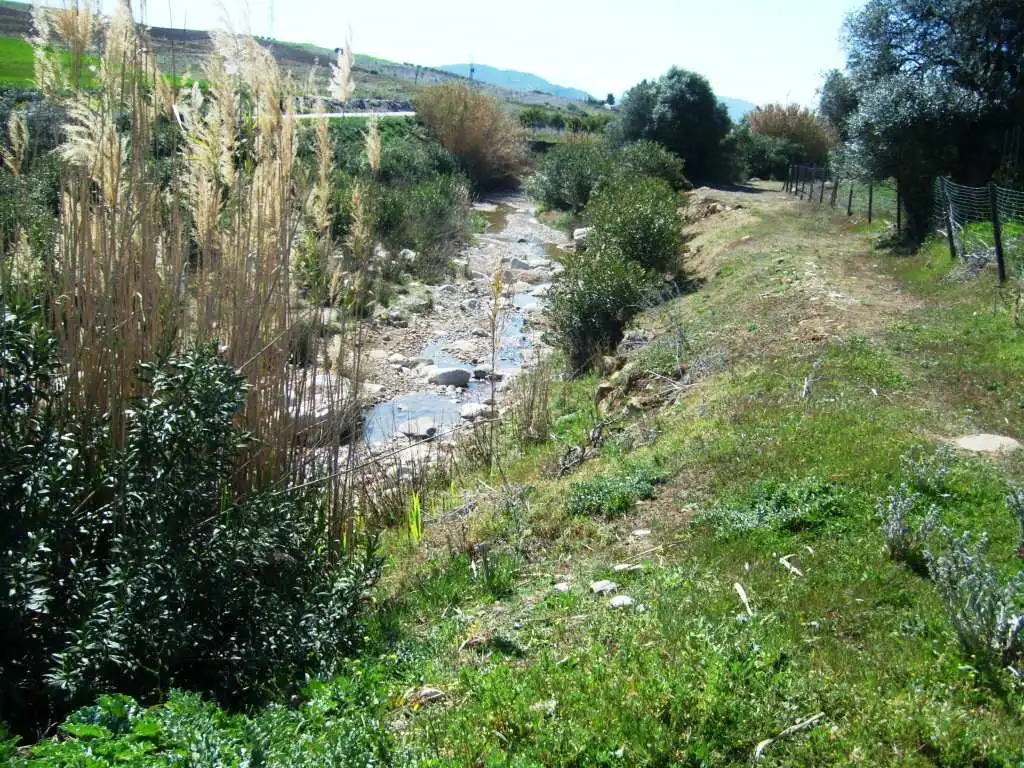 Vista exterior de Finca rústica en venta en Antequera con Jardín privado y Amueblado