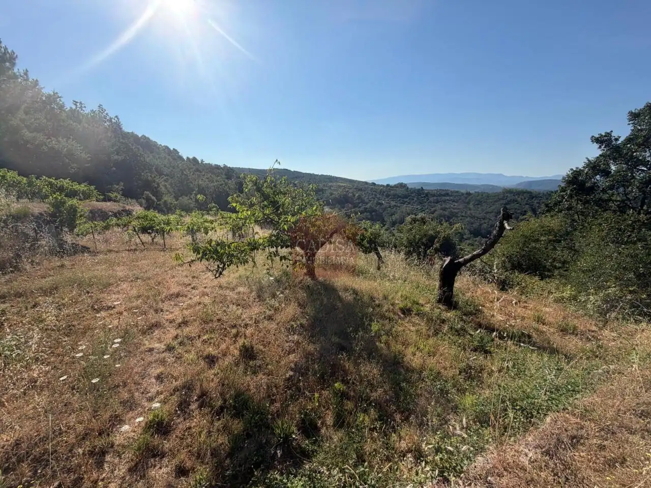 Grundstücke zum Verkauf in Garcibuey, Salamanca