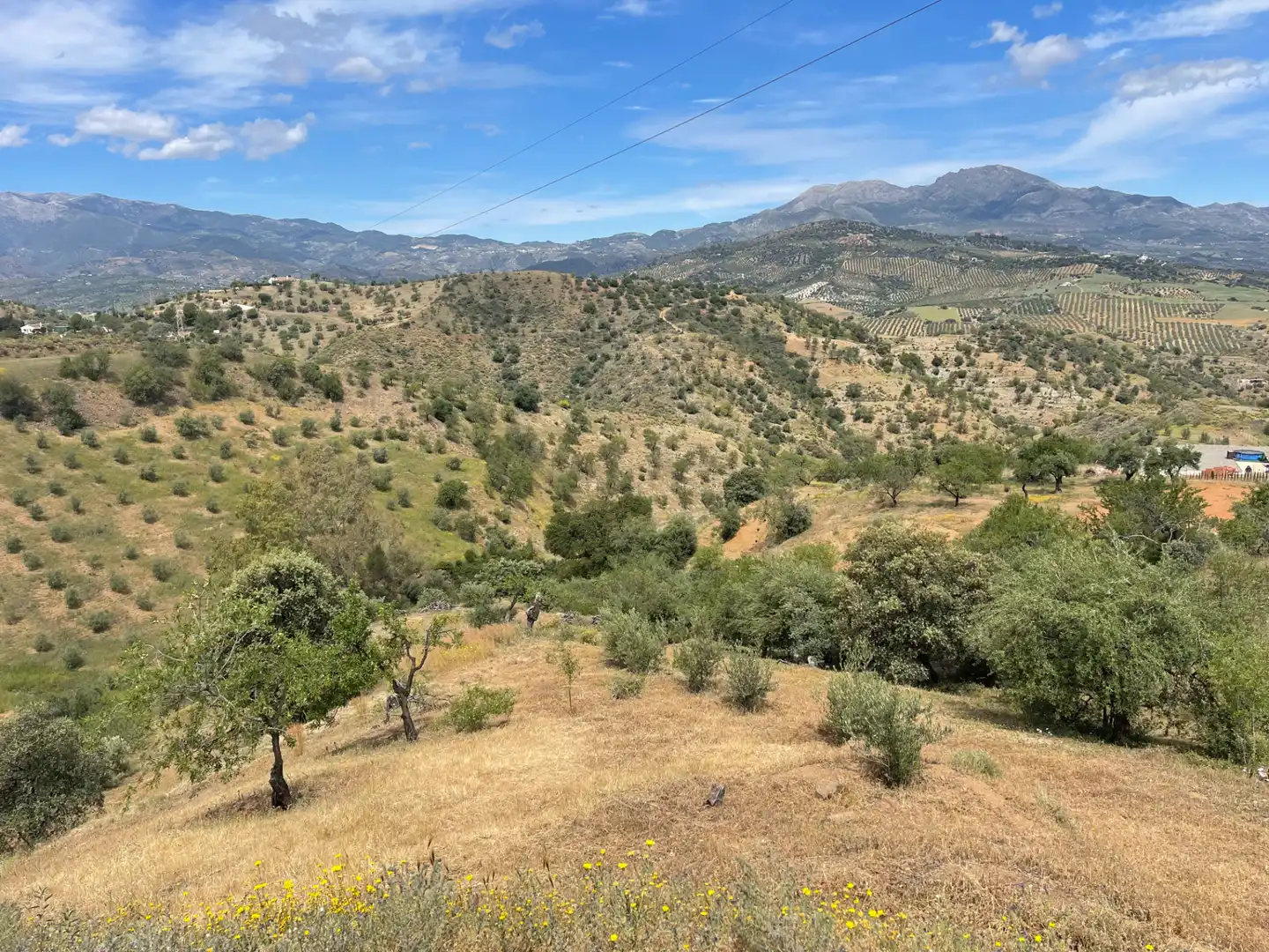 Terreno en venta en Guaro