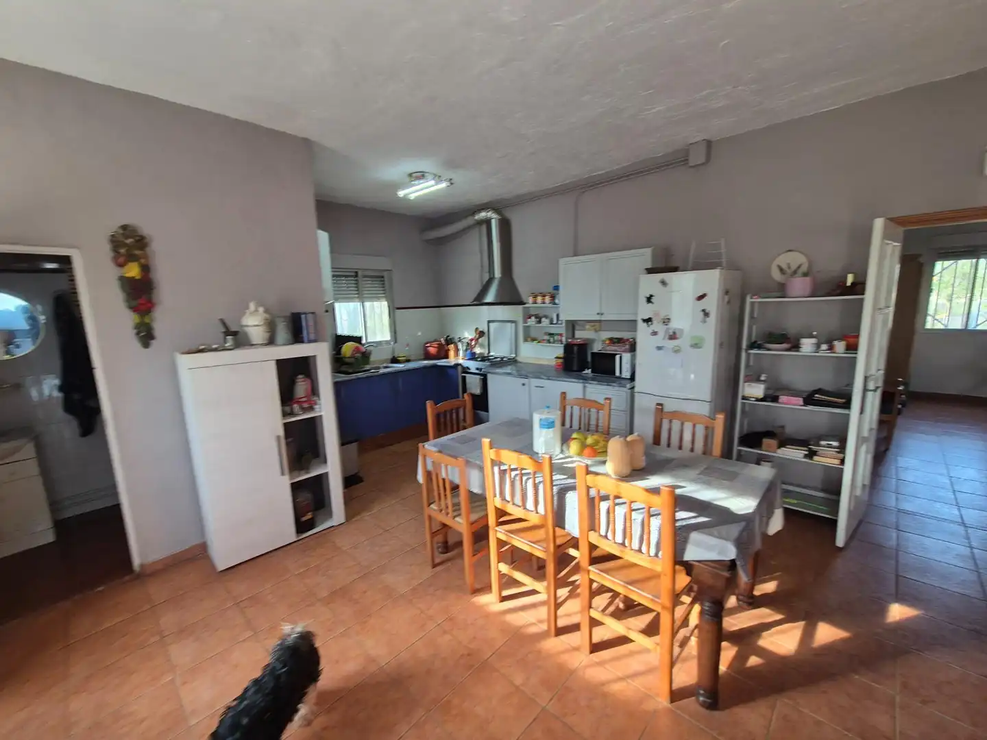 Cocina de Casa o chalet en venta en Salinas