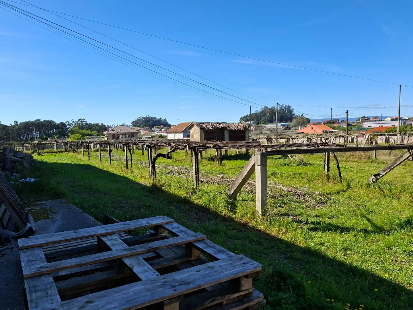 Nau industrial en venda en Cambados