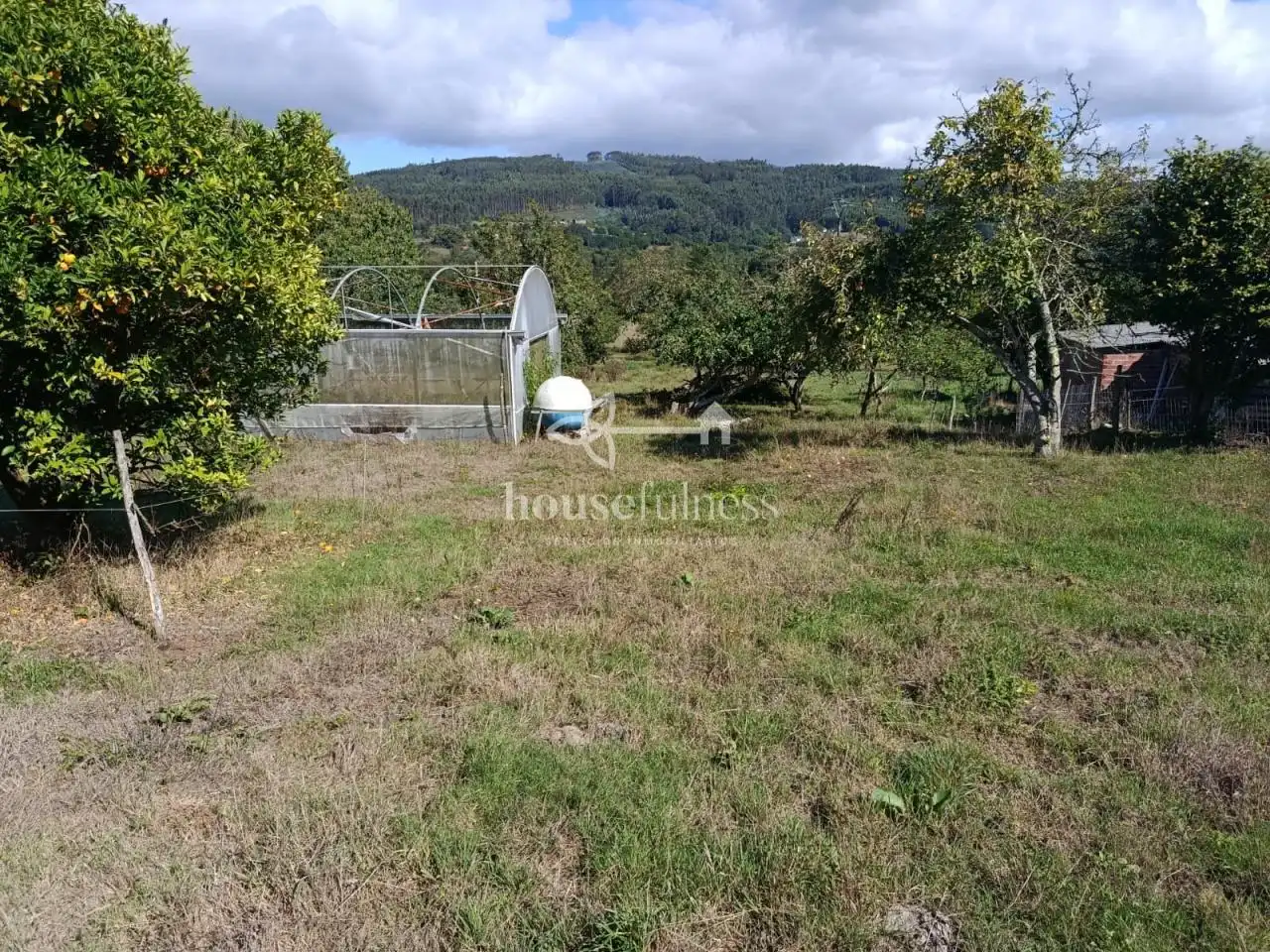 House with garden for sale in Moeche, imagen 40
