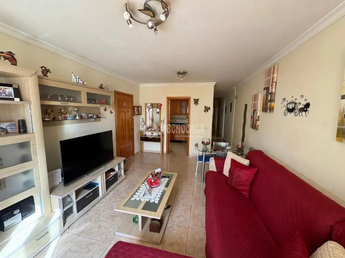 Living room of Flat for sale in Cruce de Arinaga