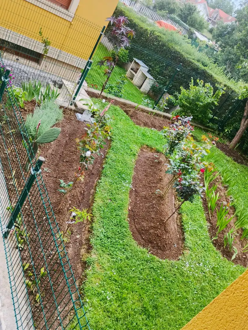 Garden of Houses for sale in Noja  with Heating, Private garden and Terrace