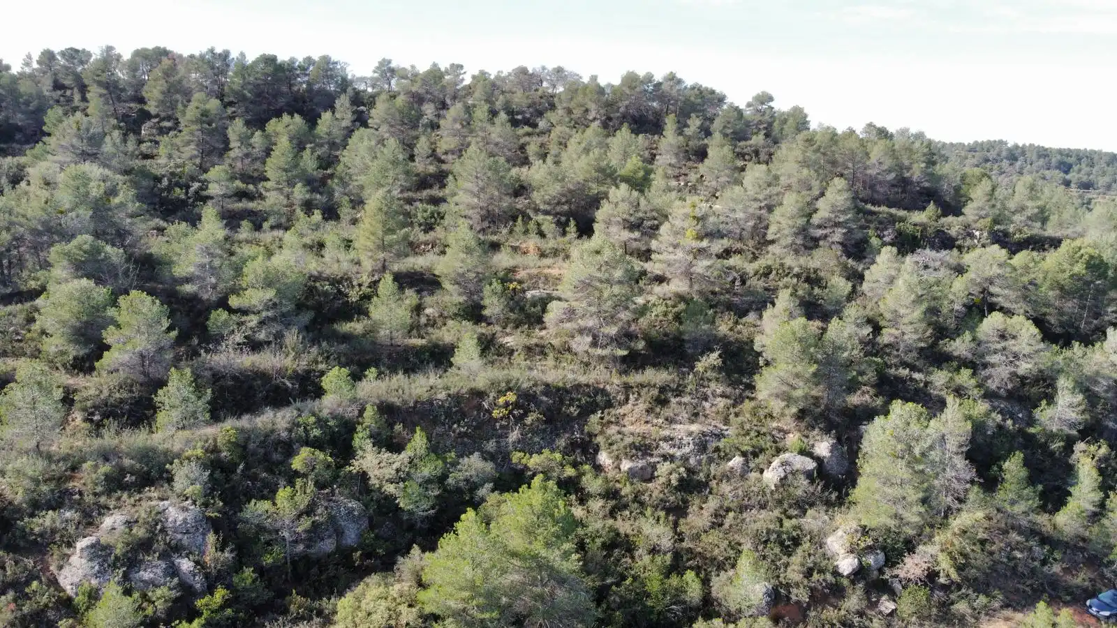 Terreno rustico in vendita a Cervià de Les Garrigues, imagen 14