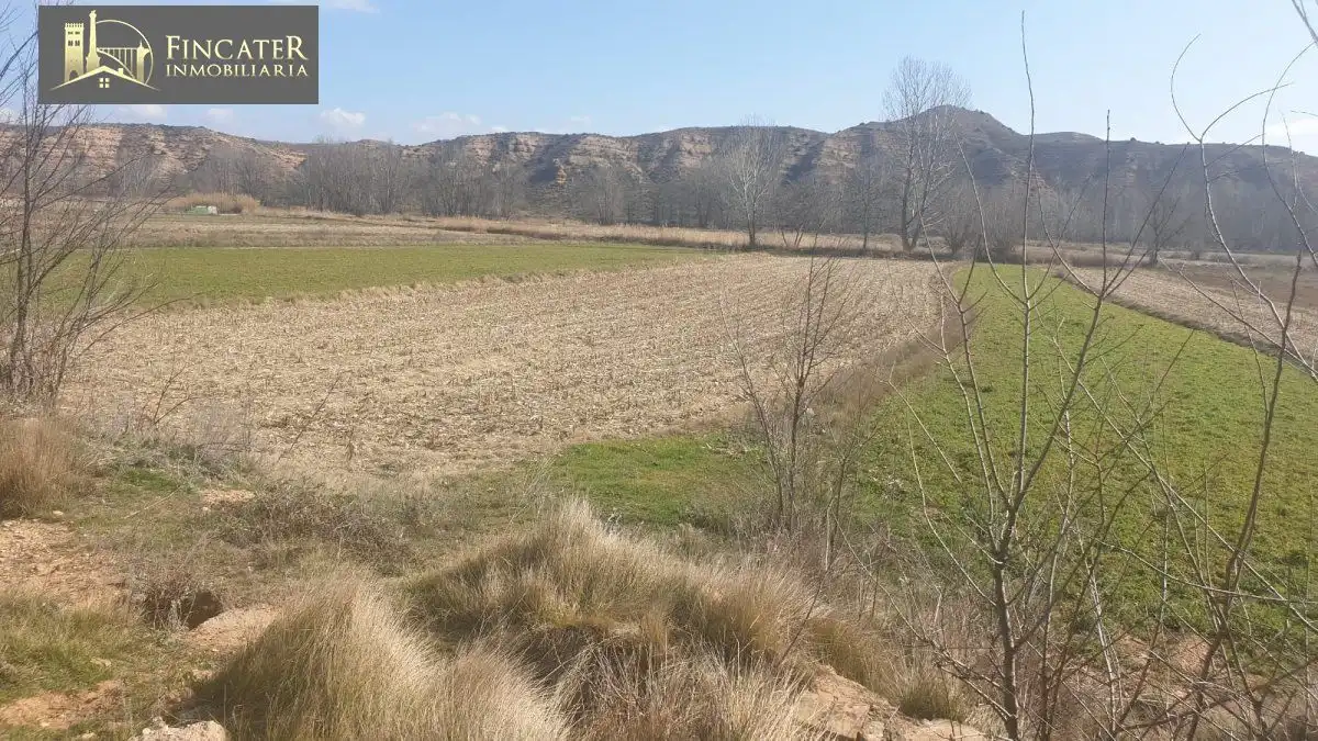 Terreni e lotti in vendita a Villastar, imagen 7