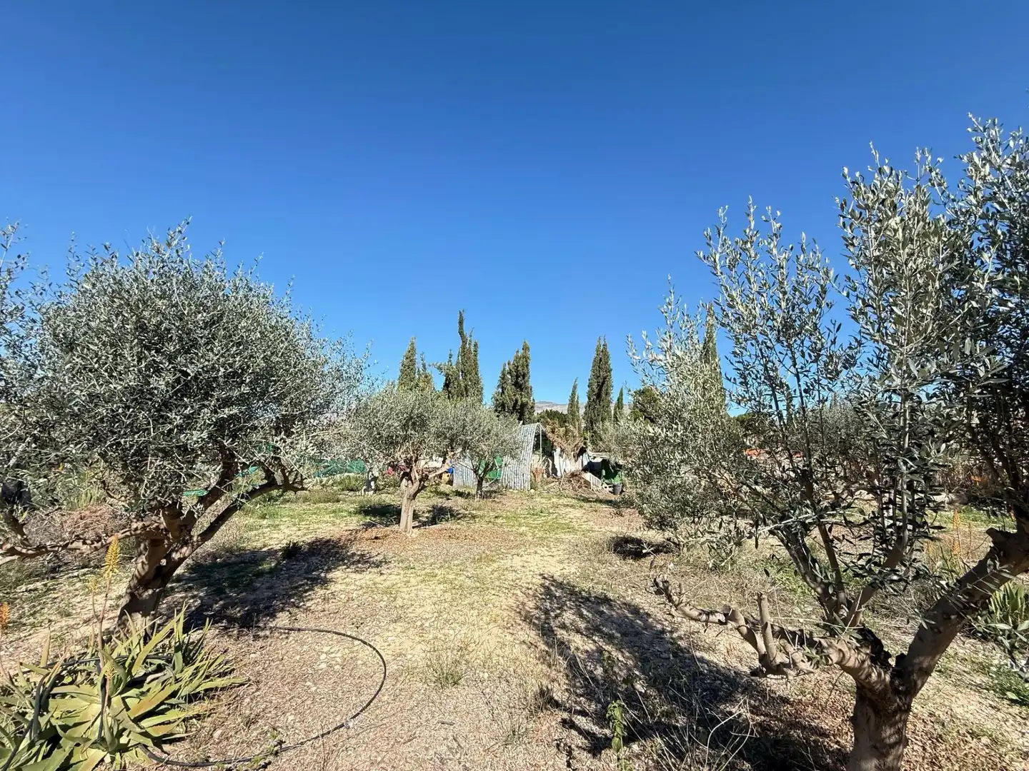 Xalet amb piscina en venda a Crevillent, imagen 27