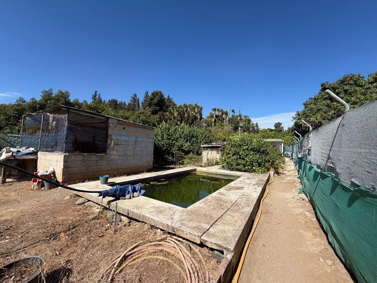 Piscina de Residencial en venta en Selwo