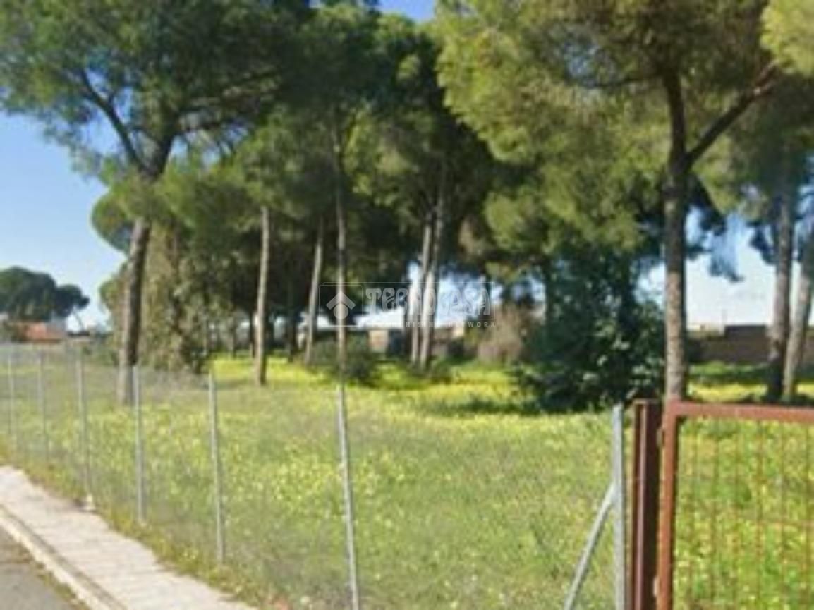 Residencial en venda en Almensilla