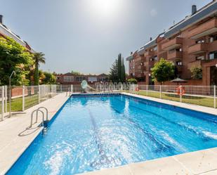 Swimming pool of Flat to rent in Majadahonda  with Heating and Terrace