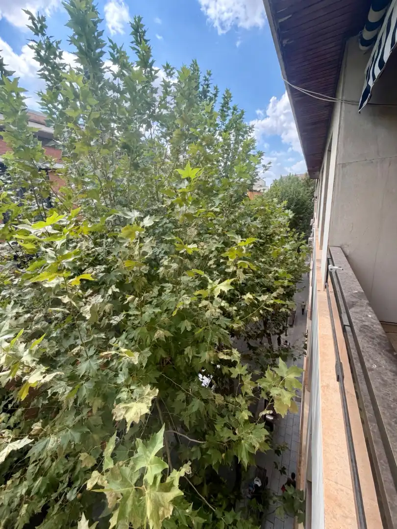 Pis amb ascensor en venda a Calle Ramón y Cajal, imagen 33