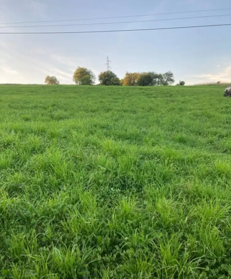 Terrain rustique à vendre à Meruelo, imagen 7