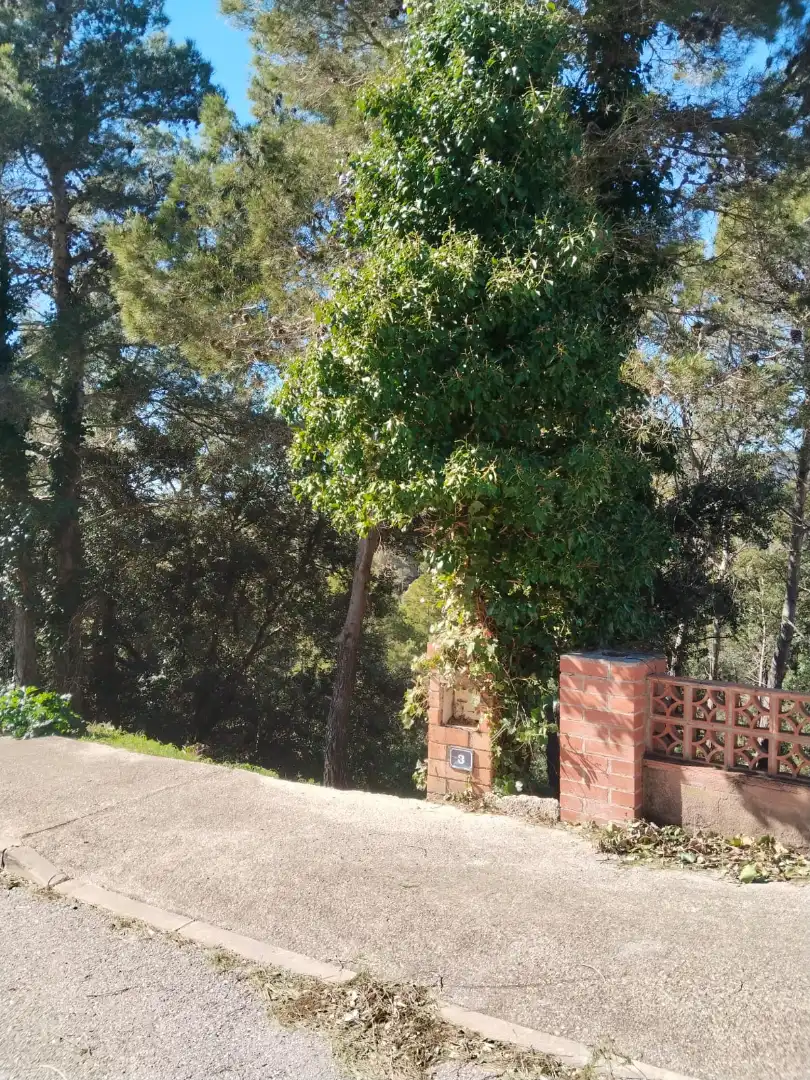 Wohnbaugrundstück zum Verkauf in Carrer Cirerer