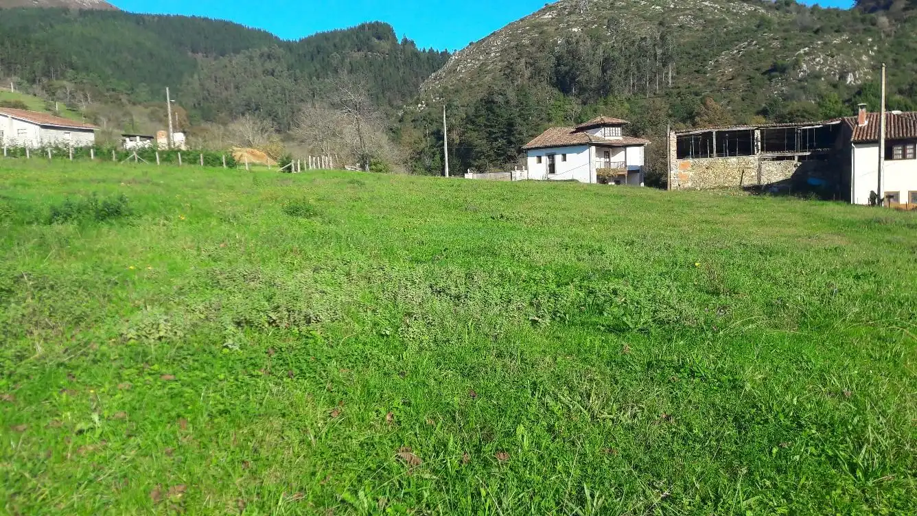 Terrenos y solares en venta en Bode, imagen 2
