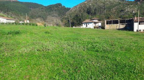 FINCA EDIFICABLE CERCA DE ARRIONDAS, immagine 2