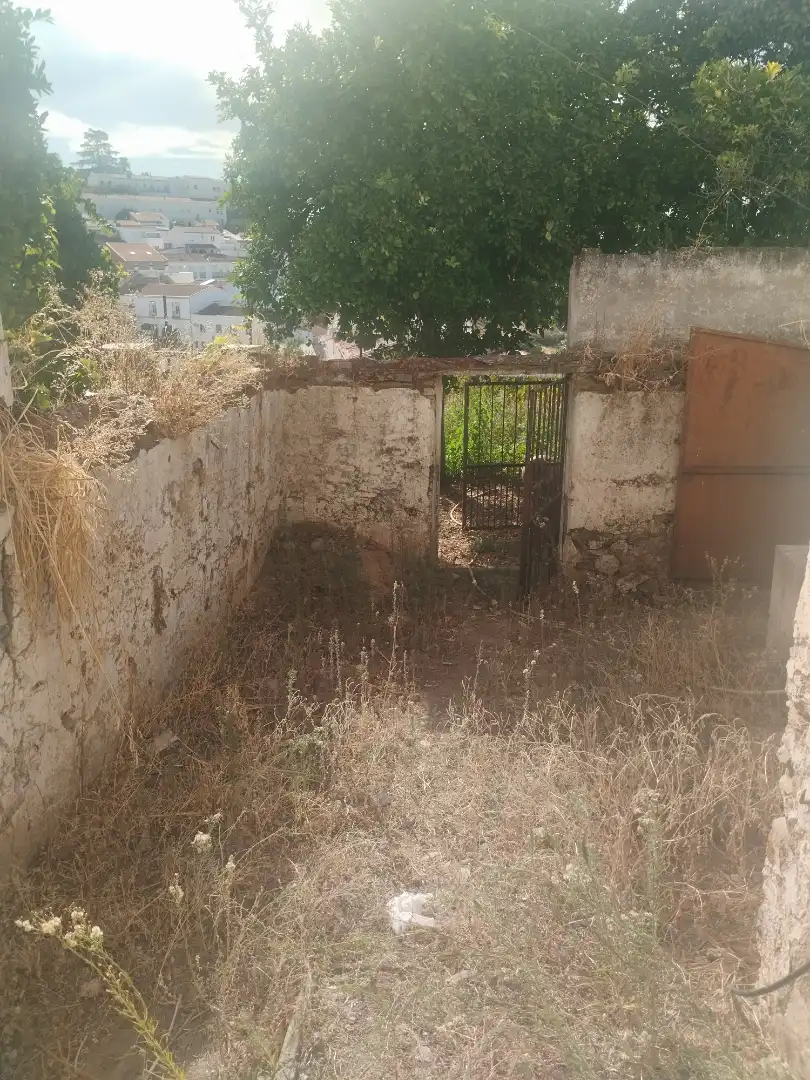 Casa con giardino in vendita a Calle Derecha, imagen 16