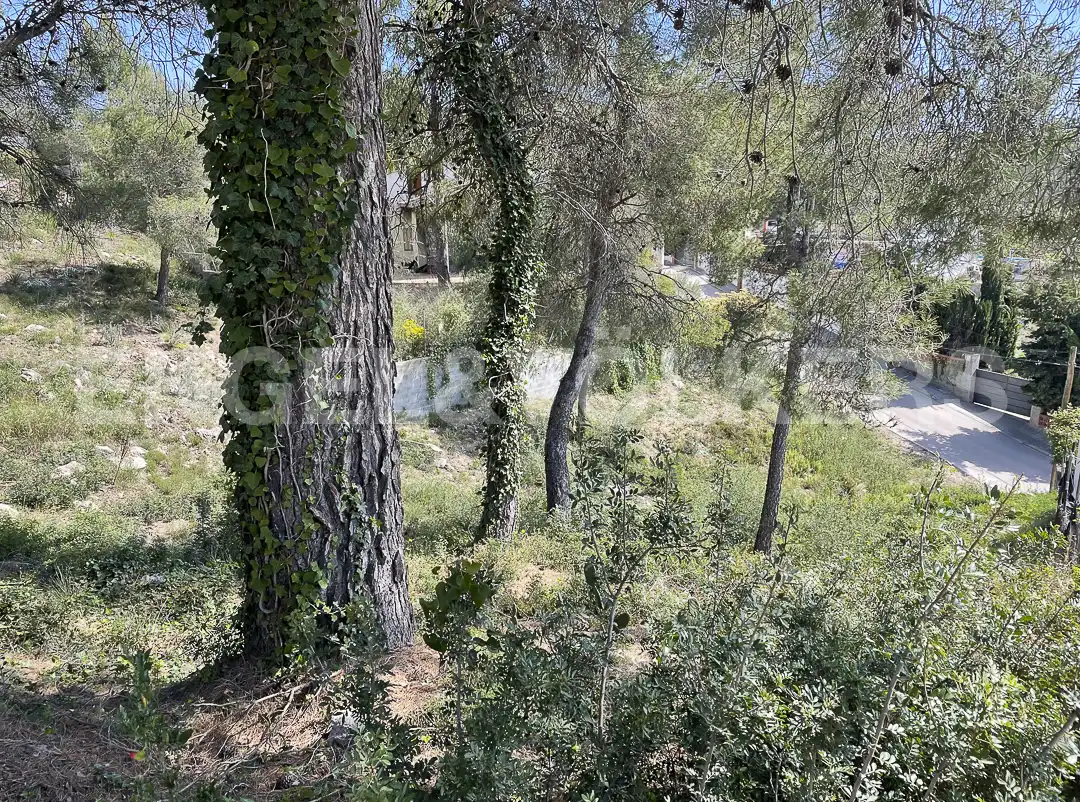 Wohnbaugrundstück zum Verkauf in Font-rubí, imagen 3