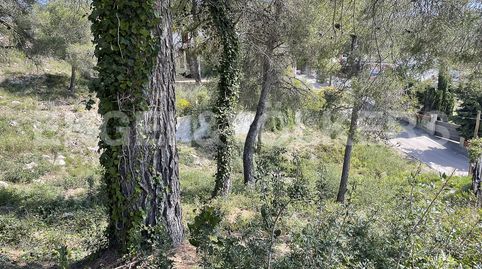 Gran parcela con vistas en Fontrubí, imatge 3