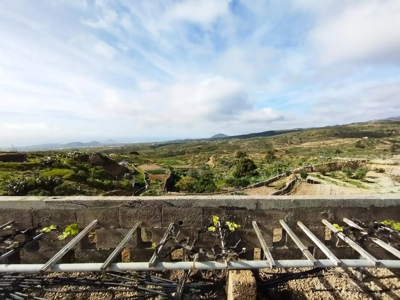 Terreno rustico in vendita a Arico, imagen 3