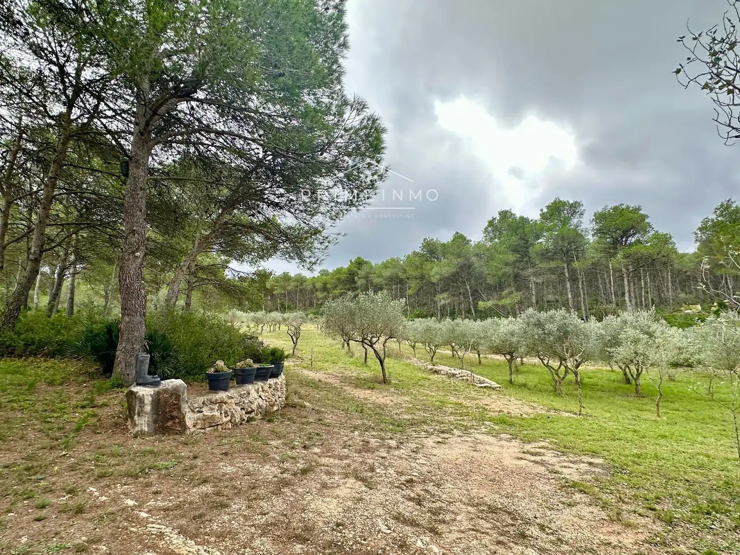Casa rústica con piscina en venta en El Perelló, imagen 4