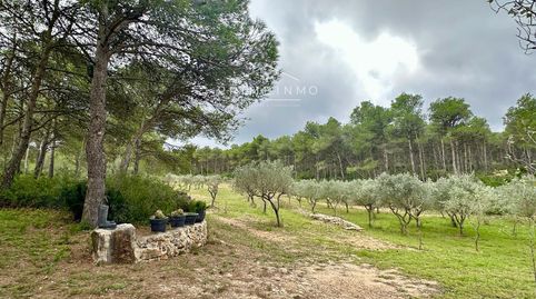 en El Perelló, image 4