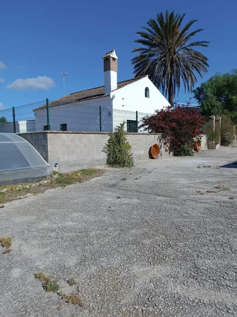 Vista exterior de Casa o chalet en venta en Puerto Real