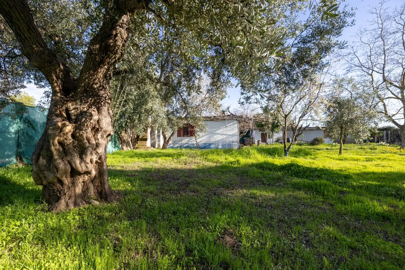 Country homes for sale in Villa de Otura  with Storage room