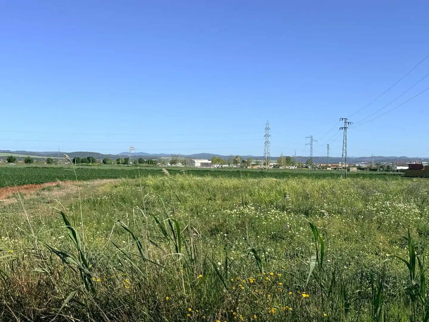 Terreni e lotti in vendita a Carretera de Tocina los Rosales, imagen 7