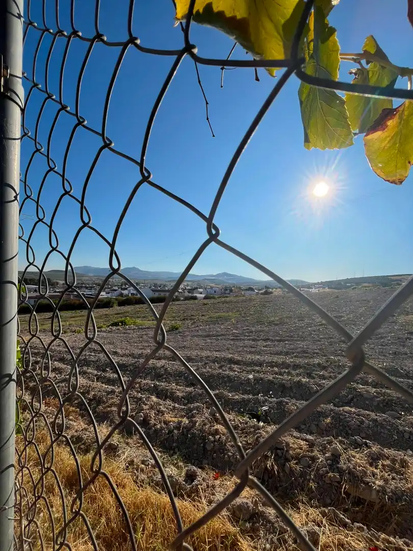 Land for sale in Lucena