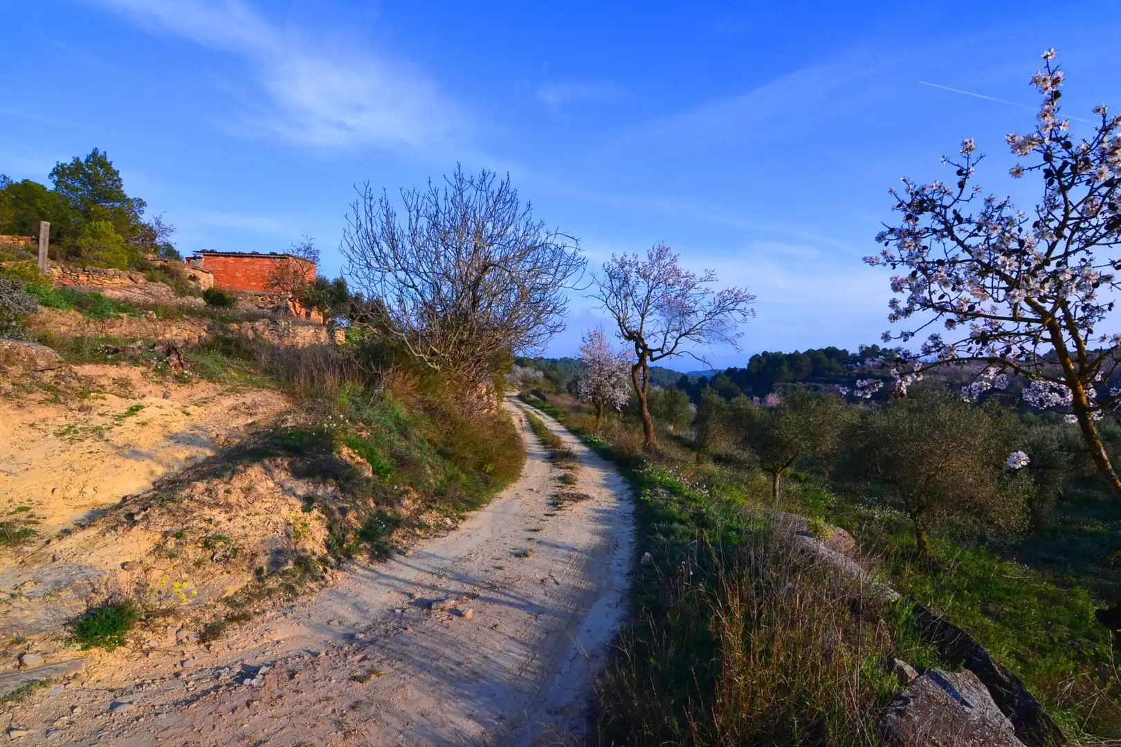 Rural land for sale in Corbera d'Ebre, imagen 11