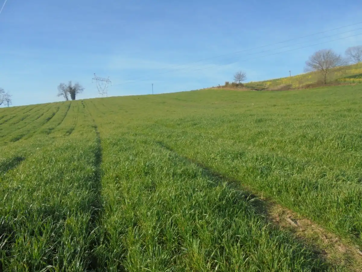 Grundstücke zum Verkauf in Penagos